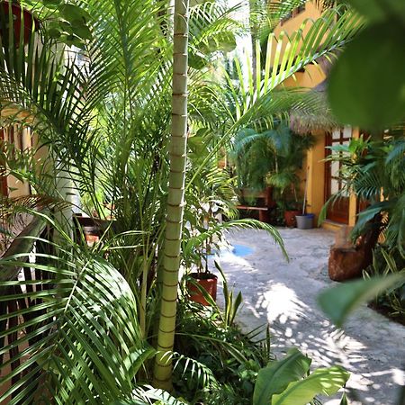 Hotel Bosque Caribe, 5Th Av. Zone بلايا ديل كارمن المظهر الخارجي الصورة