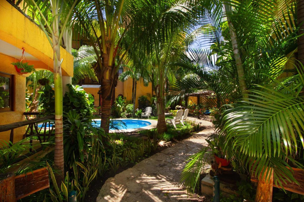 Hotel Bosque Caribe, 5Th Av. Zone بلايا ديل كارمن المظهر الخارجي الصورة
