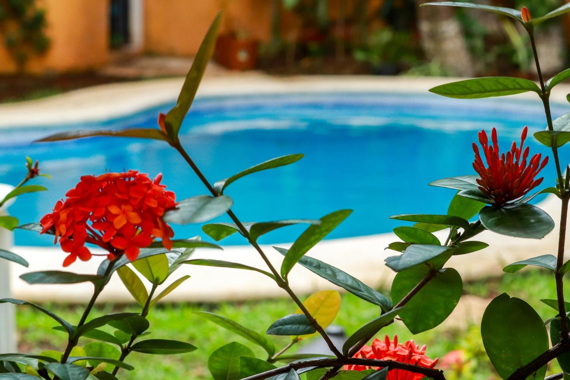 Hotel Bosque Caribe, 5Th Av. Zone بلايا ديل كارمن المظهر الخارجي الصورة