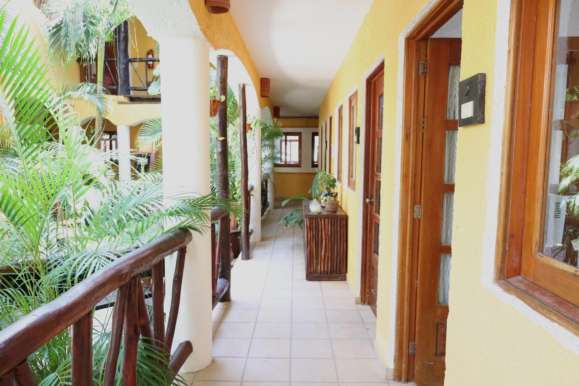 Hotel Bosque Caribe, 5Th Av. Zone بلايا ديل كارمن المظهر الخارجي الصورة
