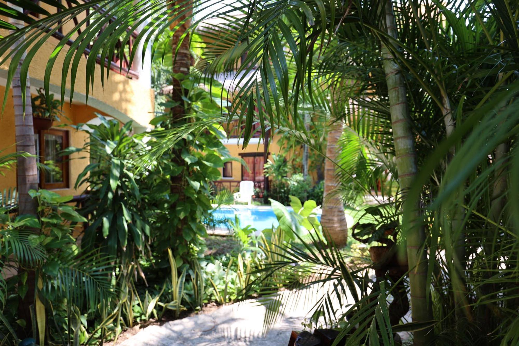 Hotel Bosque Caribe, 5Th Av. Zone بلايا ديل كارمن المظهر الخارجي الصورة