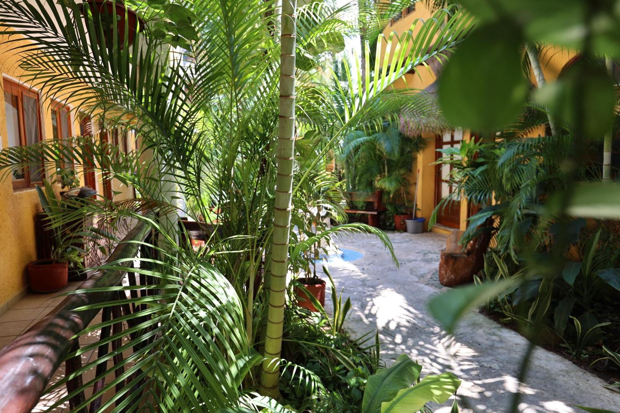 Hotel Bosque Caribe, 5Th Av. Zone بلايا ديل كارمن المظهر الخارجي الصورة