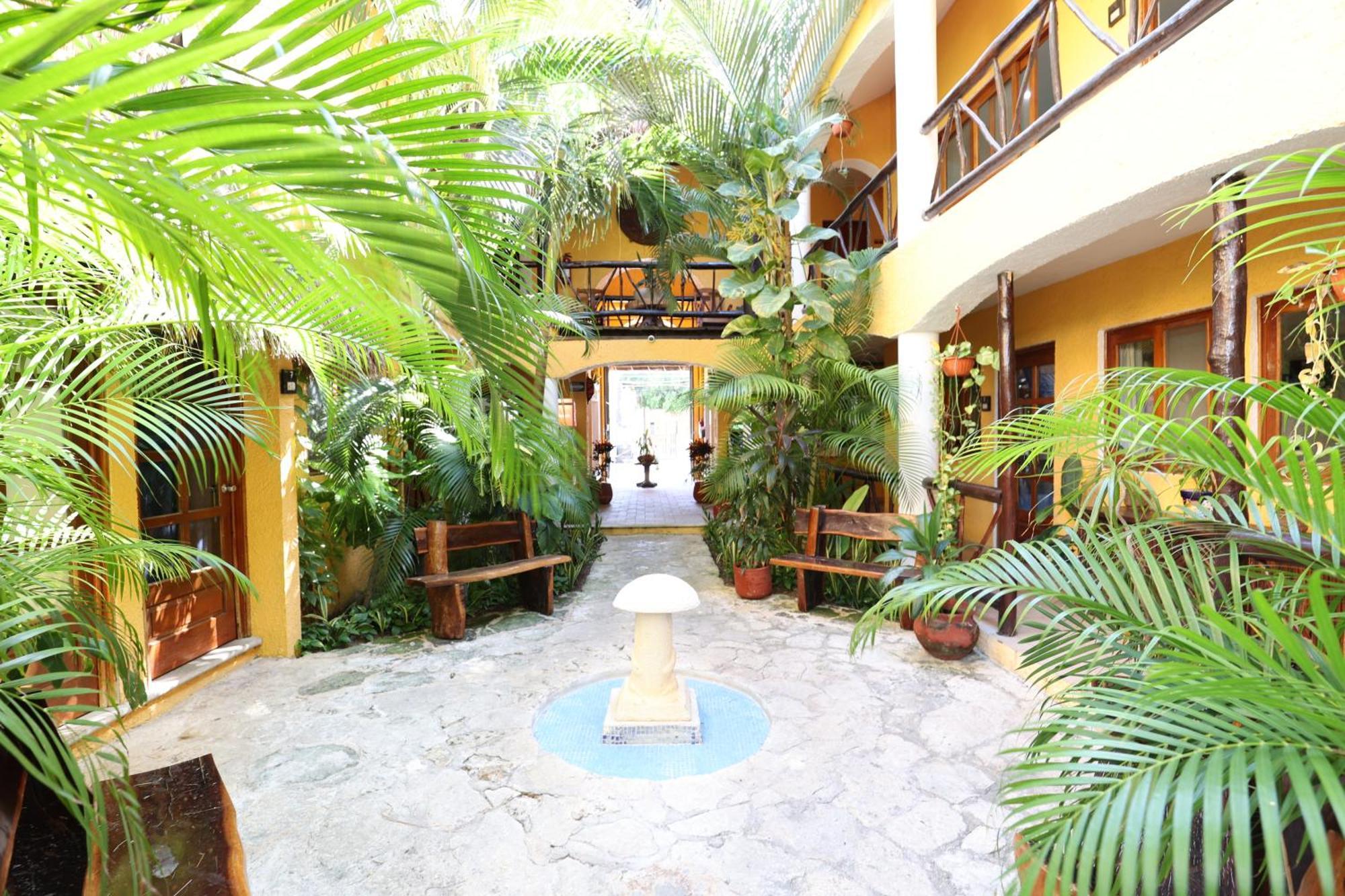 Hotel Bosque Caribe, 5Th Av. Zone بلايا ديل كارمن المظهر الخارجي الصورة