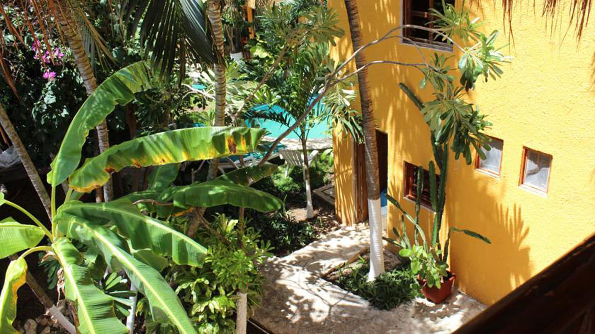 Hotel Bosque Caribe, 5Th Av. Zone بلايا ديل كارمن المظهر الخارجي الصورة